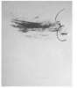 Image of Untitled