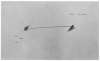 Image of Untitled