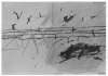 Image of Untitled