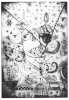 Image of Untitled