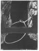Image of Untitled