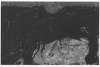 Image of Untitled