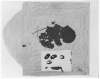 Image of Untitled