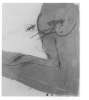 Image of Untitled