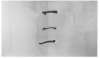 Image of Untitled