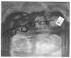 Image of Untitled