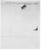 Image of Untitled