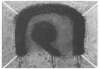 Image of L'arc