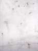 Image of Neuronales dispersos en lo blanco