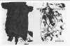 Image of Untitled