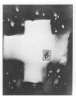 Image of Untitled