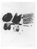 Image of Untitled
