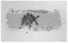 Image of X sobre groc