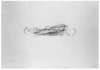 Image of Untitled