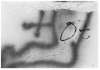 Image of Untitled