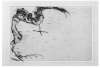 Image of Dragon