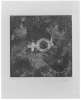 Image of Untitled