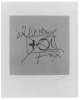 Image of Untitled
