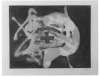 Image of Relief sable