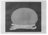 Image of Oval i blanc