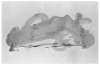 Image of Vernis paysage