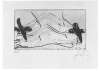 Image of Untitled