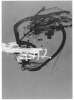 Image of A.L. Hannover