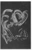 Image of Untitled