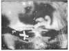 Image of Untitled