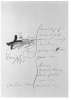 Image of Untitled