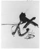 Image of Untitled