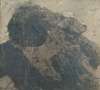 Image of Pelandrusca