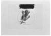 Image of Untitled