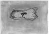 Image of Petjada