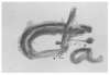 Image of Initiales