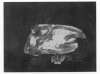 Image of Variations sur un thème musical 10