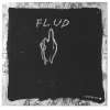 Image of Flud