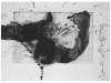 Image of Untitled