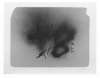 Image of Untitled
