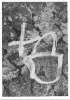 Image of Cistell