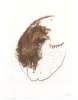 Image of Untitled