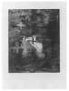 Image of Untitled