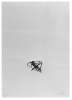 Image of Untitled