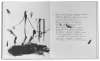 Image of Untitled