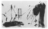 Image of Untitled