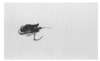Image of Untitled