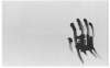 Image of Untitled