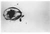 Image of Untitled