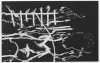 Image of Untitled
