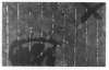 Image of Plegat vertical